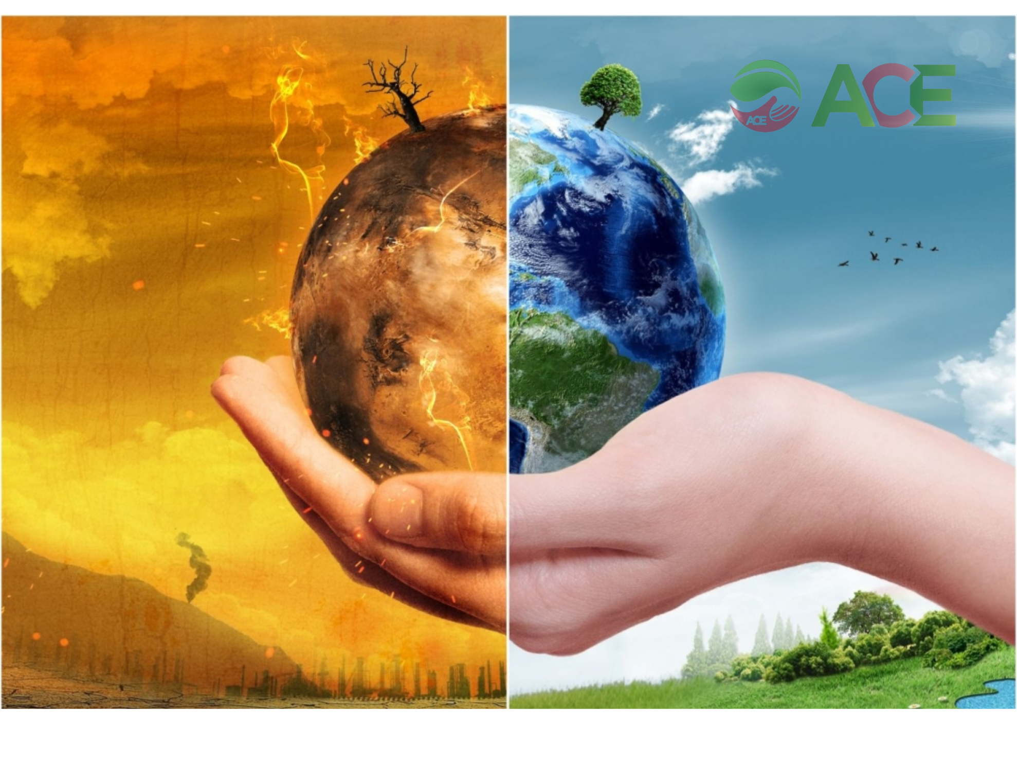 Các vấn đề môi trường xoay quanh hiện nay